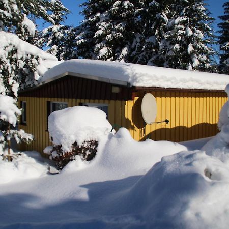 Ferienhaeuser "Zur Hohen Sonne" Thale Ngoại thất bức ảnh