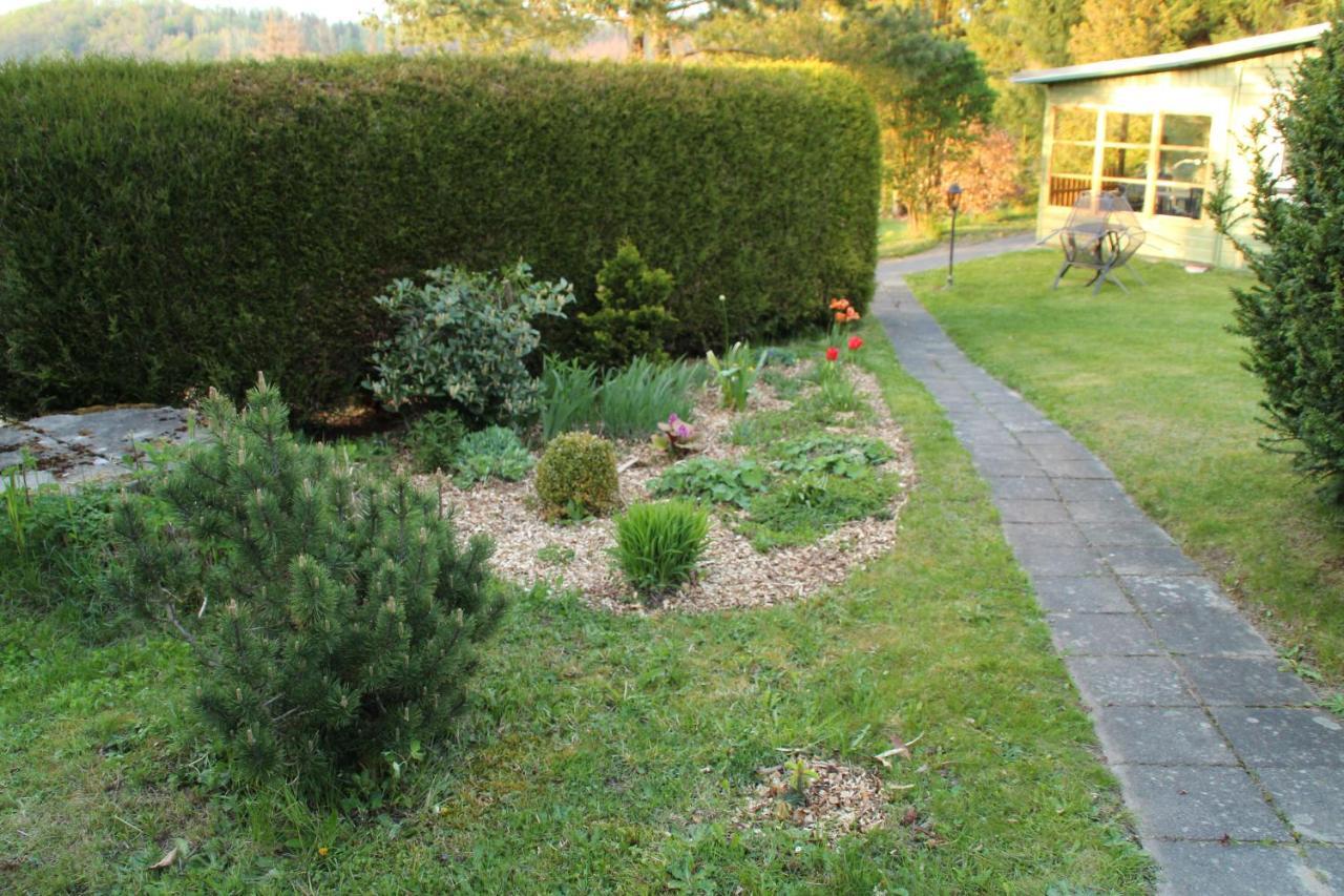Ferienhaeuser "Zur Hohen Sonne" Thale Ngoại thất bức ảnh