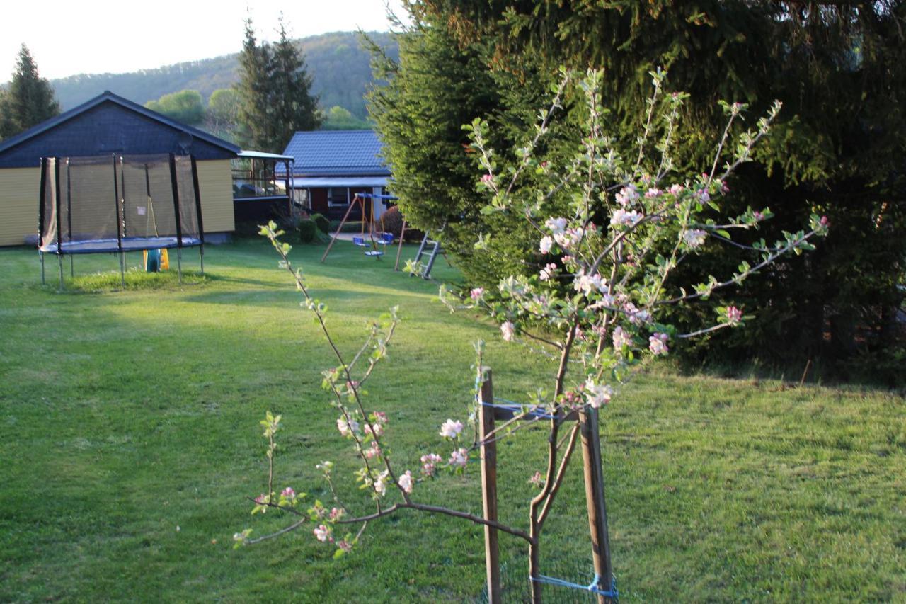 Ferienhaeuser "Zur Hohen Sonne" Thale Ngoại thất bức ảnh